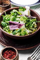 Healthy vegetarian salad