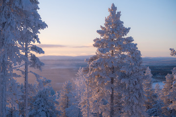 Landscape scene of Finnish lapland seen from Levi Ski Resort at winter evening in Kittilä, Finland