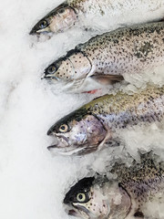 Salmon is laid out on the ice of a shop window.