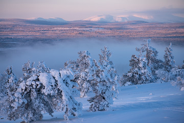 Winter landscape scene in Levi ski resort with Pallas fells in the background in Kittilä, Finland
