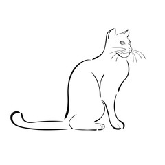 Outline drawing of a cat for a logo. Suitable for veterinary clinics, shops, animal feed.