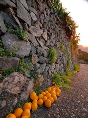 Masonry of terraced fields
