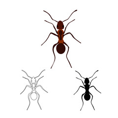 brown ant, silhouette and sketch