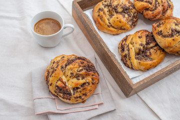 Chocolate Babka