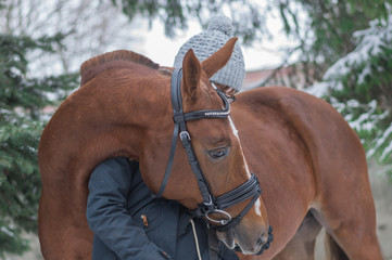 Red-brown horse hugging the girl. Background of firs.