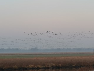 Landschaft, Panorama, Hintergrund