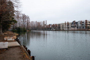 冬の別所沼公園　さいたま市南区