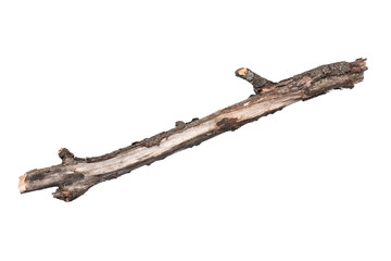 Single dry tree branch, isolated on white background. Stick tree branch from nature for design.