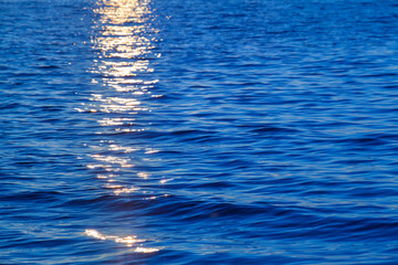 Sunset at Sea Detail / Reflecting yellow sunlight at sunset on blue water surface background (copy space)