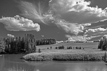 Summer view of the water surface of the river with overgrown picturesque banks and Cumulus clouds in the blue sky, monochrome.