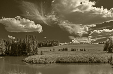 Summer view of the water surface of the river with overgrown picturesque banks and Cumulus clouds...