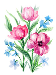 Watercolor pink Anemone and blue flower hand drawn floral illustration
