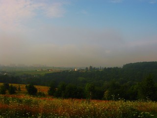 Beautiful summer landscape morning mist in the field
