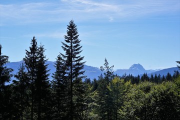 Wilder Kaiser Region in tirol in österreich