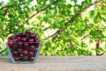 A glass bowl with ripe cherries stands on a table made of planks against a background of an orchard. Copy space.