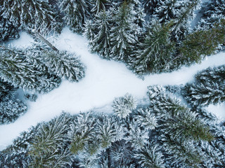 Aerial: Winter forest in Tatras mountains