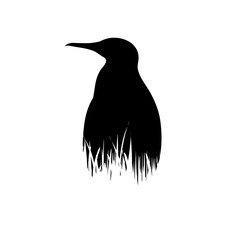 Illustration of penguin icon in the grass. Vector silhouette on white background.