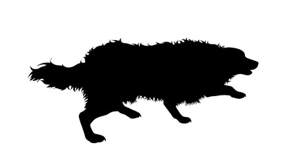 Illustration of running dog icon. Vector silhouette on white background.