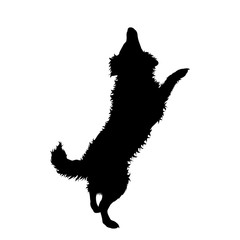 Illustration of jumping dog icon. Vector silhouette on white background.