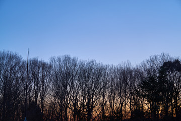まほろばの郷夕景01