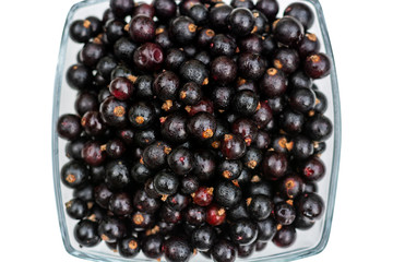 Black currant on a white background, isolate. Flat Lay,  Copy space.