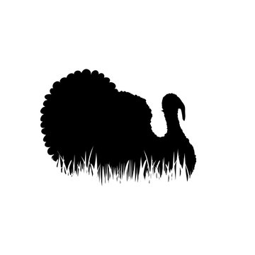 Illustration of turkey icon in the grass. Vector silhouette on white background. Symbol of poultry.