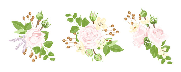 Watercolor Set of Roses and Floral Elements.