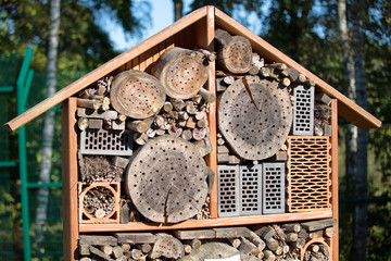 bug hotel for insects