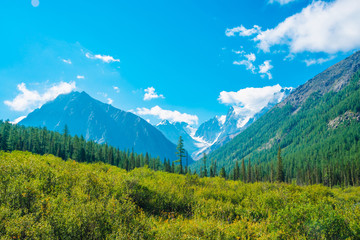 Beautiful glacier. Meadow near forest edge. Rocky ridge with snow behind hills with conifer forest. Huge clouds on giant snowy mountain top under blue sky. Atmospheric landscape of highland nature.