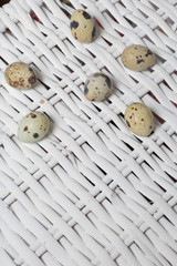 Quail eggs lie on the surface of a wicker vine. On a white background.
