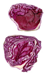 Cross section of red cabbage as a human brain isolated concept