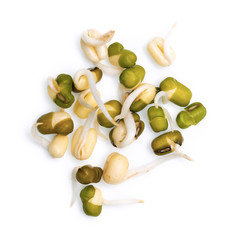 Healthy fresh sprouts separated on a white background, top view.