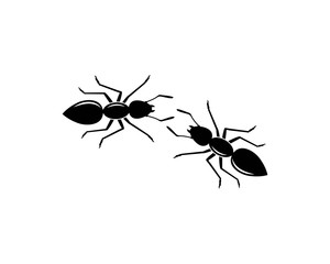 ant logo icon vector illustration design
