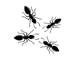 ant logo icon vector illustration design