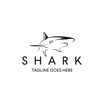 A shark logo design template. Awesome shark logo. A shark lineart logotype.