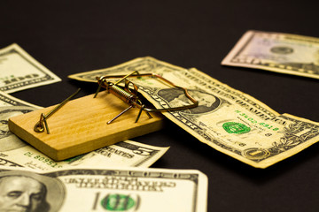 Stylish studio dark concept of money, currency and mousetrap. Greed and the desire for quick easy...