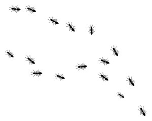 ant logo icon vector illustration design
