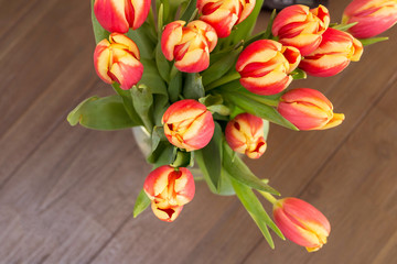 colorful tulips on wooden vintage background, april season