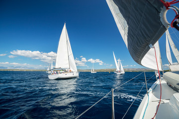 Sailing regatta yachts competition - obrazy, fototapety, plakaty