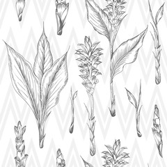 Seamless pattern with hand drawn of Turmeric roots, lives and flowers in black color isolated on white. Retro vintage graphic design.
