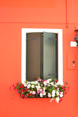 Window with green shutters in Mediterranean style on orange wall with flowers. Colourful painted windows. Burano island near Venice, Italy