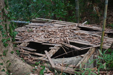 井戸