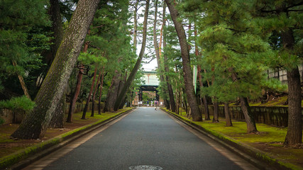 Landscape photo of the asphalt road right in front of the entrance of Gotokuji Temple, which is currently famous for its numerous maneki neko or "beckoning cats" that welcome visitors.