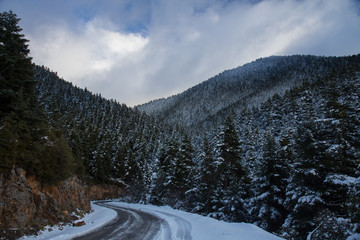 Snowy curved road on a mountain with fir trees on each side and clouds in the sky