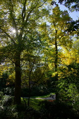 Fototapeta na wymiar Herbst Stimmung im Park