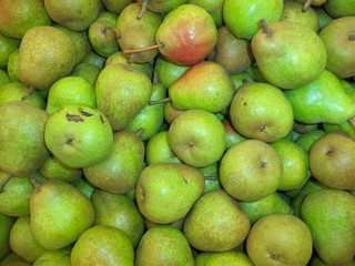 pile of ripe fresh pear