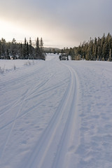 Ski winter tracks