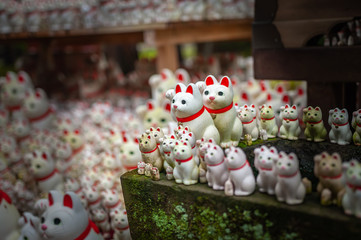 Numerous maneki-neko, or also known as "beckoning cats" which are small statues of various sizes that portray a cat sitting up and beckoning with its front paw, can be seen in Tokyo's Gotokuji Temple.