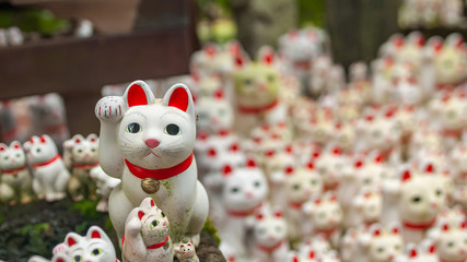 Numerous maneki-neko, or also known as "beckoning cats" which are small statues of various sizes that portray a cat sitting up and beckoning with its front paw, can be seen in Tokyo's Gotokuji Temple.