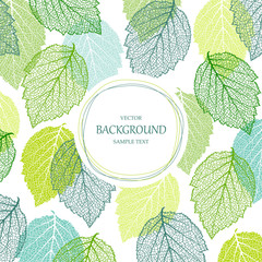 Background with blue and green leaves. Nature banner. Frame with plants. Template 